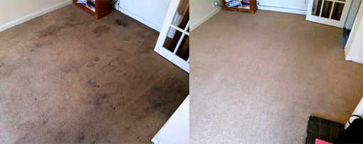 carpet stain removal