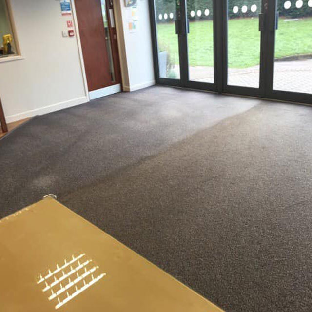 carpet stain removal
