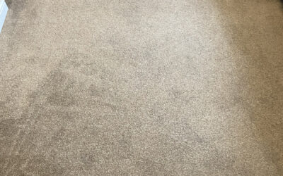 Carpets Cleaned – Hunsdon, Herts