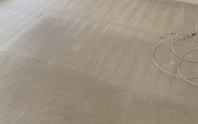 Carpets Cleaned – Standon, Herts
